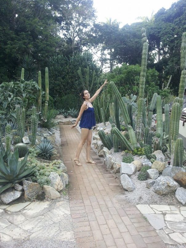 Rio - cactus - jardin botanique